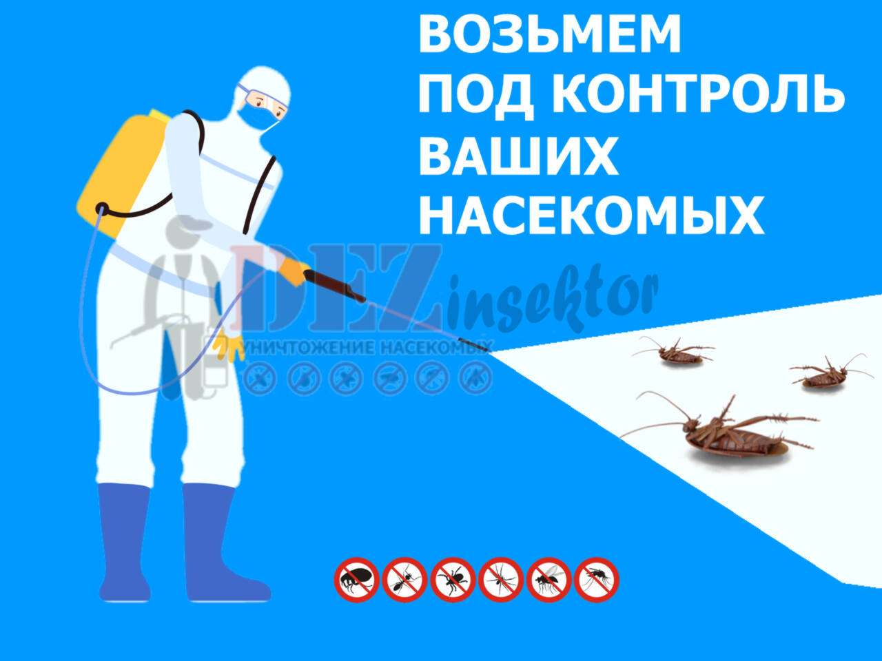 Уничтожение тараканов и других насекомых в Краснодаре фото 2 Услуги Краснодар Уничтожение тараканов и других насекомых в Краснодаре фото 2 Услуги Краснодар