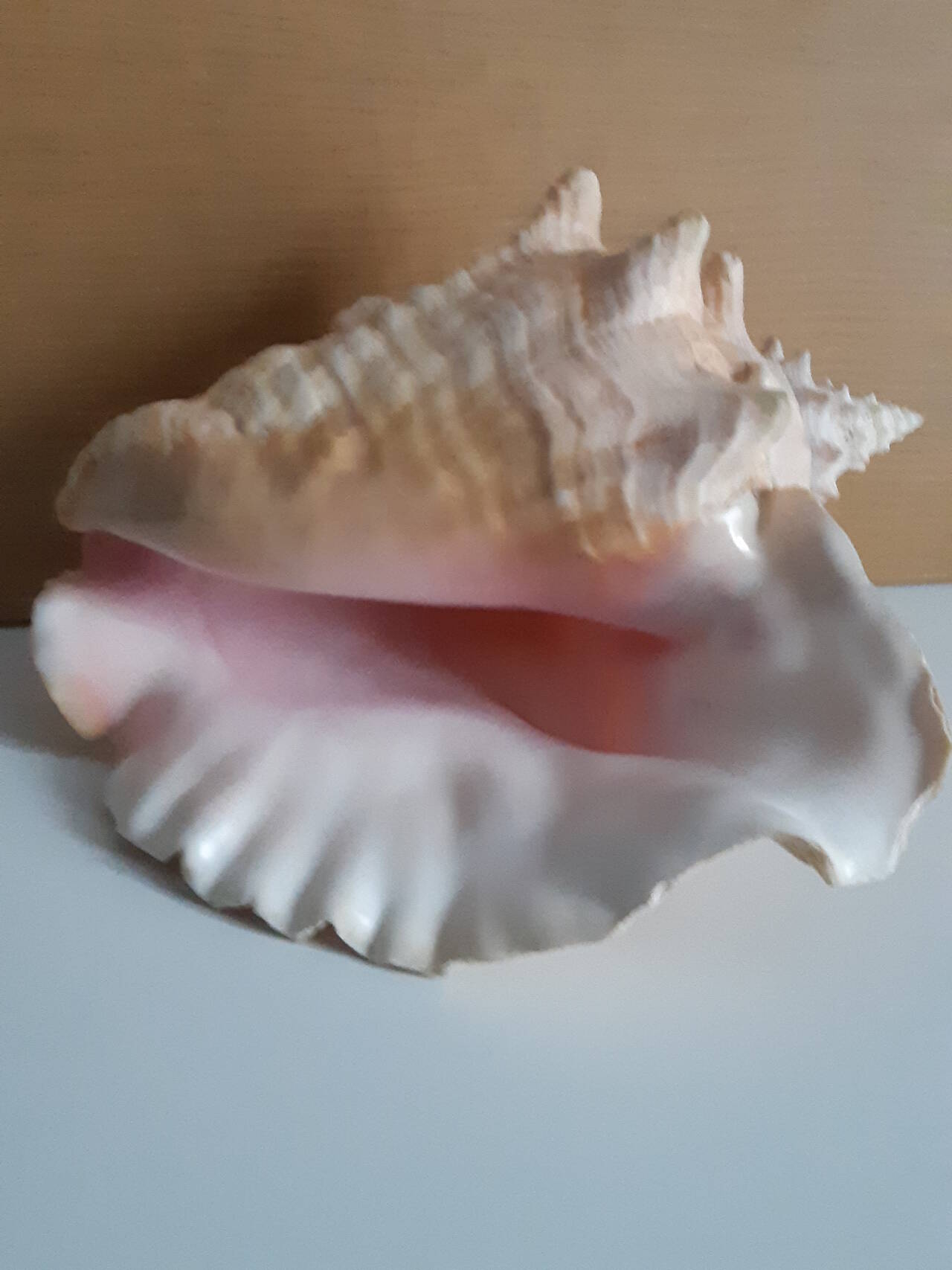 Раковины в Москве фото 4 Для дома и дачи Москва Раковины в Москве фото 4 Для дома и дачи Москва