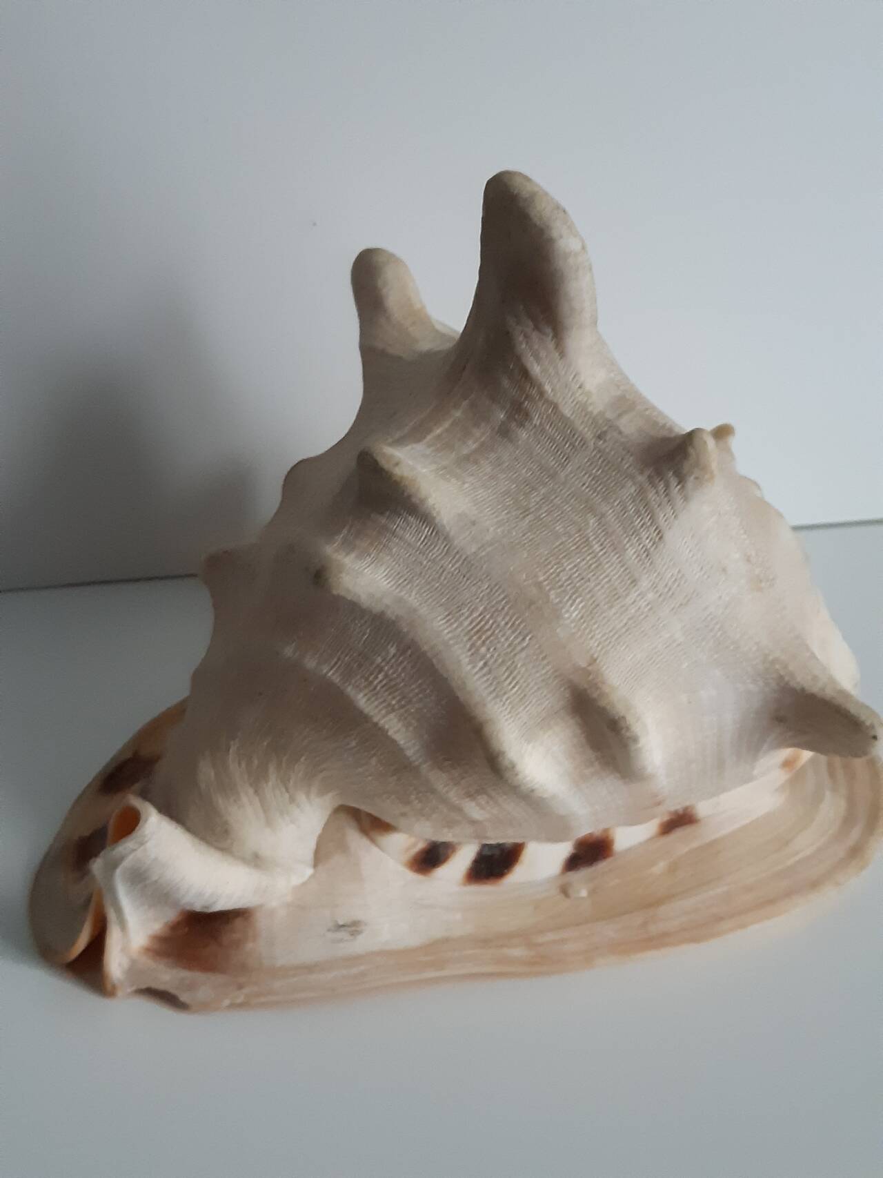 Раковины в Москве фото 3 Для дома и дачи Москва Раковины в Москве фото 3 Для дома и дачи Москва