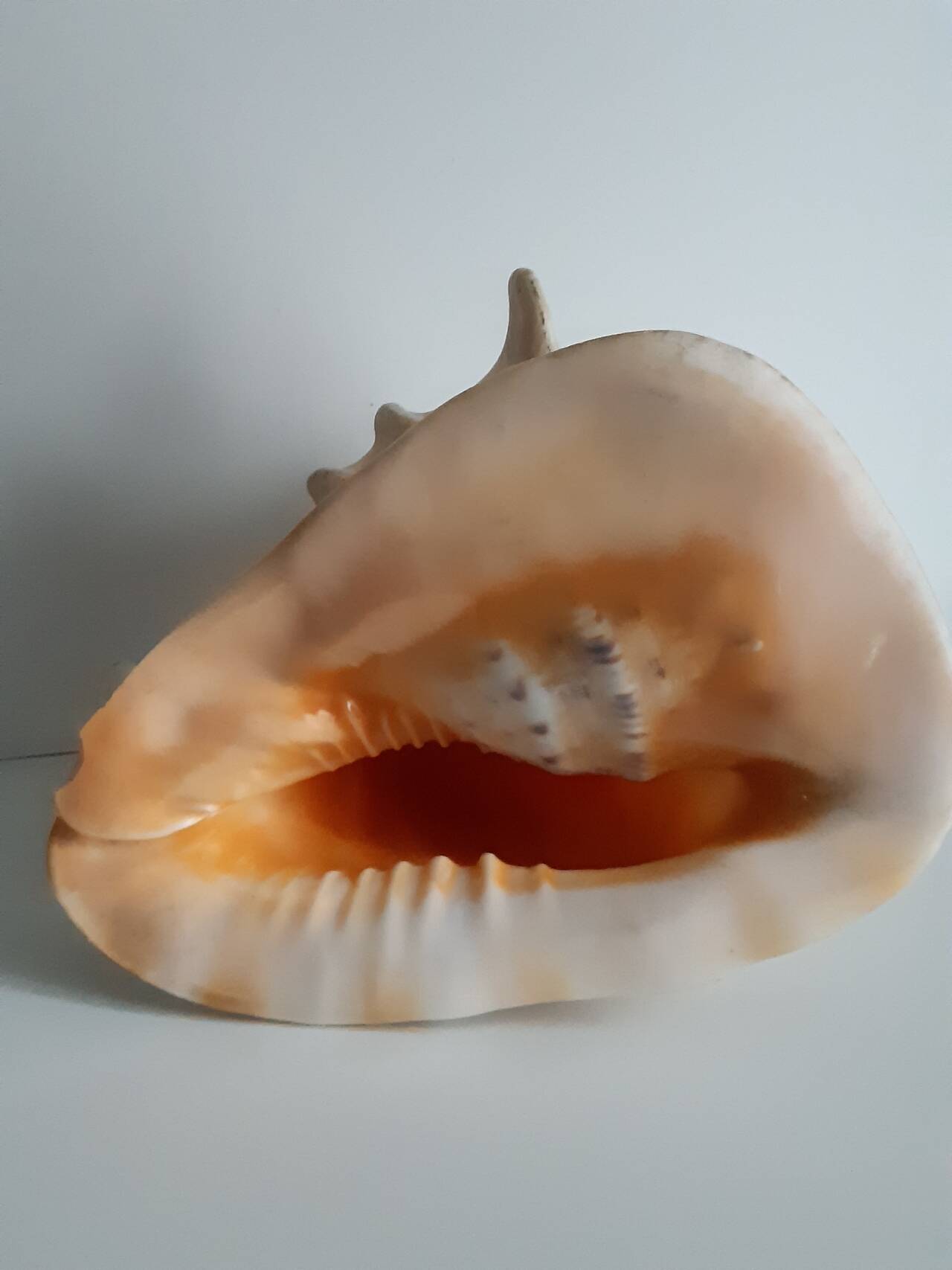 Раковины в Москве фото 1 Для дома и дачи Москва Раковины в Москве фото 1 Для дома и дачи Москва