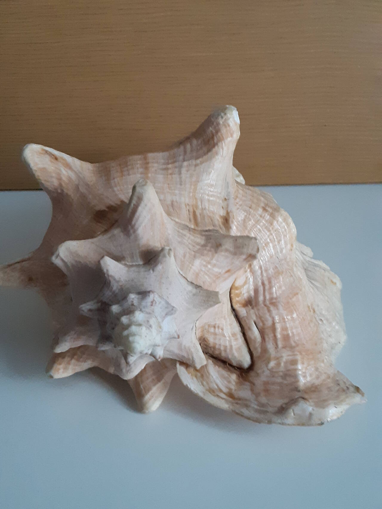 Раковины в Москве фото 2 Для дома и дачи Москва Раковины в Москве фото 2 Для дома и дачи Москва