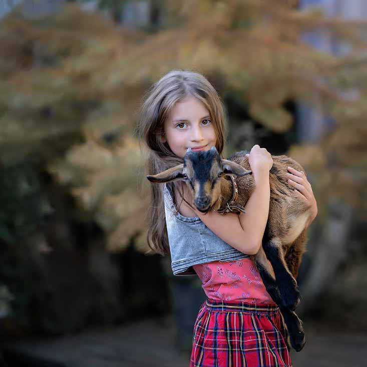 Продается участок в Москве фото 5 Недвижимость Москва Продается участок в Москве фото 5 Недвижимость Москва