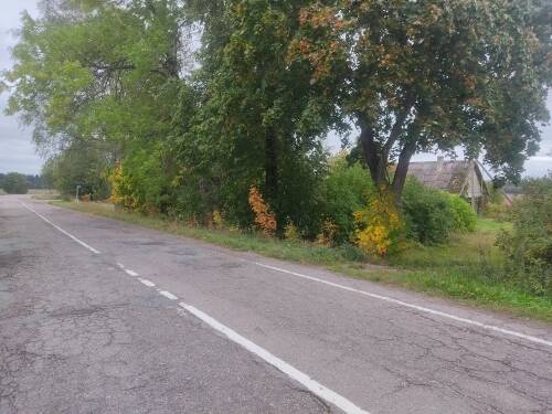 Продам от С-Петербурга 60км. д.Черенковицы зимний дом с земельным участком 25 сот. Продам от С-Петербурга 60км. д.Черенковицы зимний дом с земельным участком 25 сот.