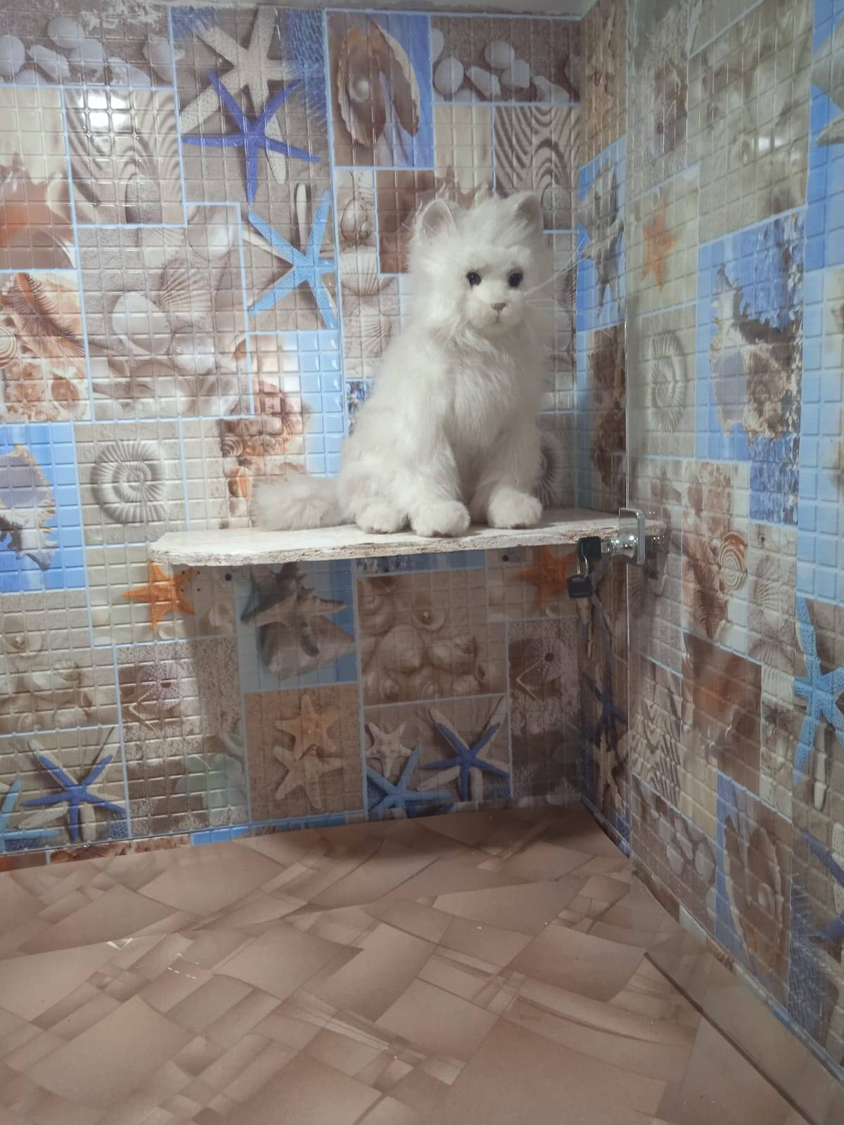 Зоогостиница для кошек на природе Зоогостиница для кошек на природе