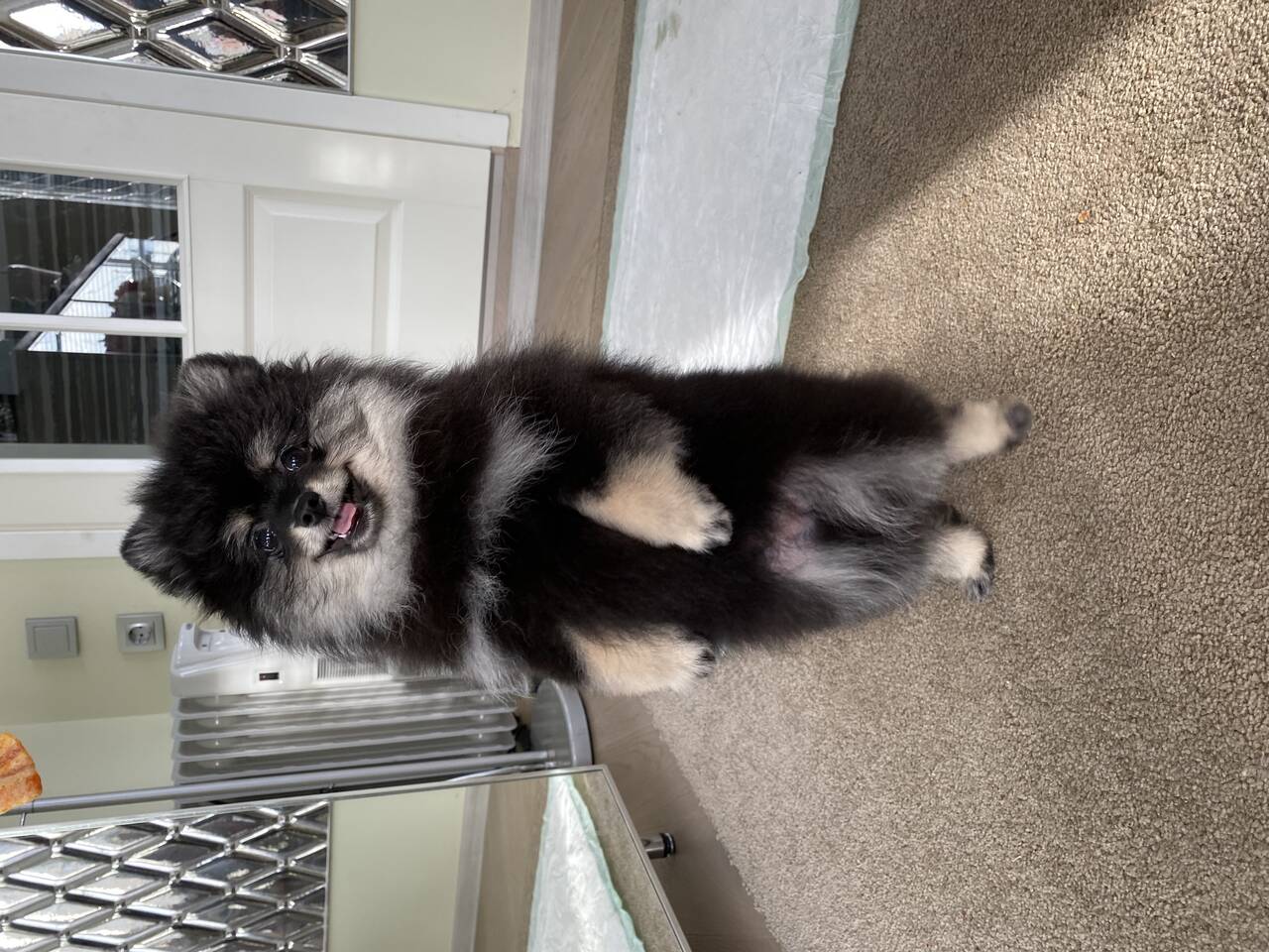 Личные вещи  во Всеволожске фото 2 Личные вещи Всеволожск