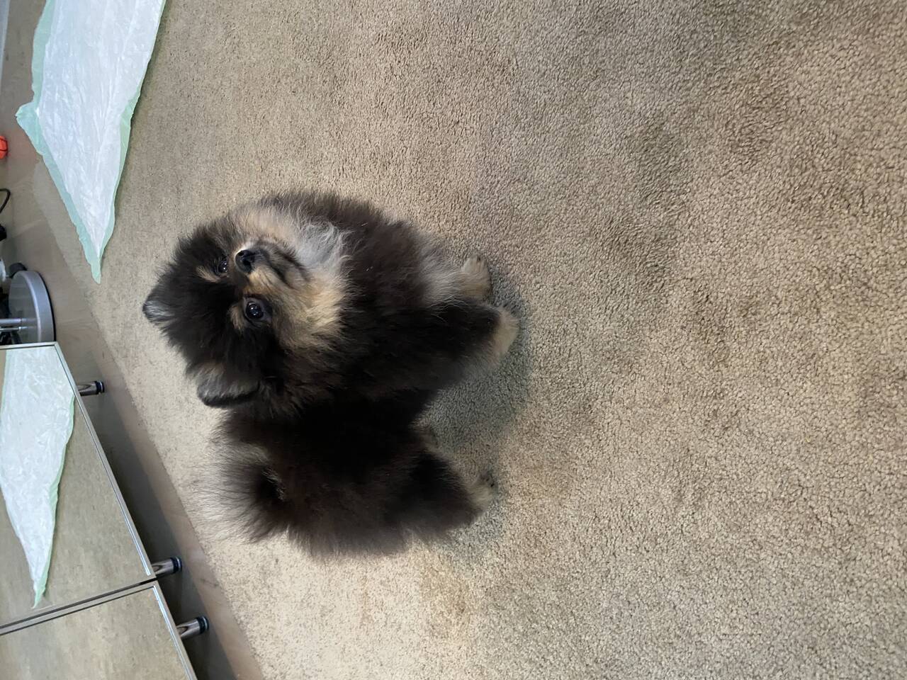 Личные вещи Личные вещи