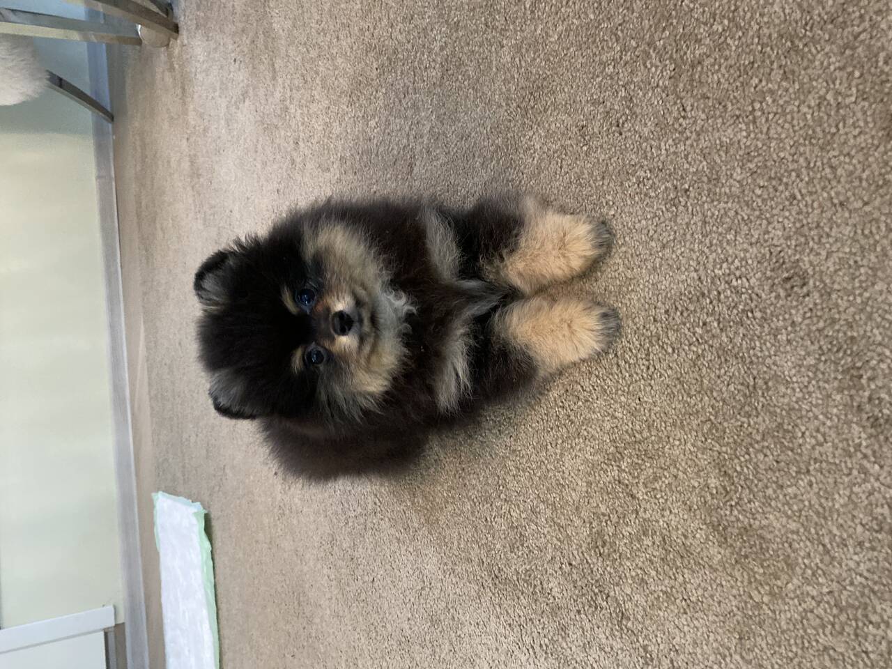 Личные вещи  во Всеволожске фото 3 Личные вещи Всеволожск