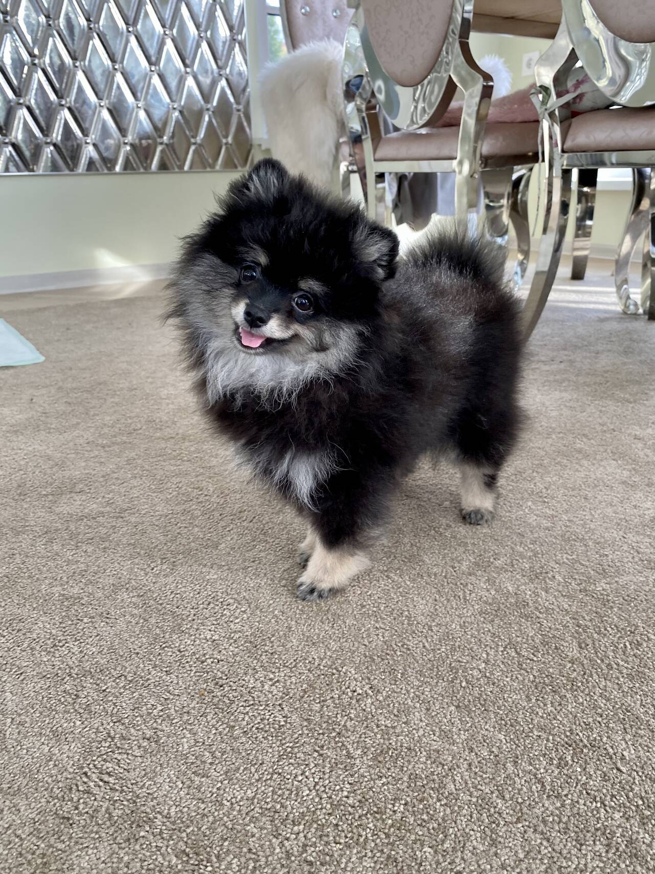 Личные вещи  во Всеволожске фото 5 Личные вещи Всеволожск