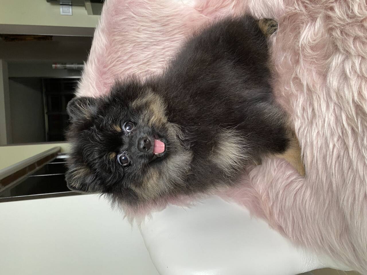 Личные вещи  во Всеволожске фото 7 Личные вещи Всеволожск