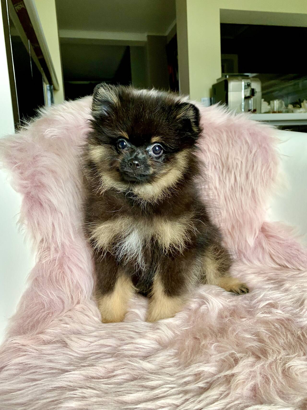 Личные вещи  во Всеволожске фото 4 Личные вещи Всеволожск