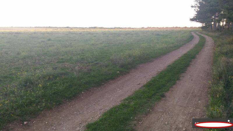 Продам участок 2,5 га в Севастополе в Севастополе фото 3 Недвижимость Севастополь