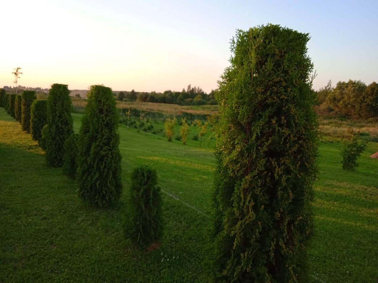 Агроусадьба в Беларуссии в Москве фото 5 Недвижимость Москва