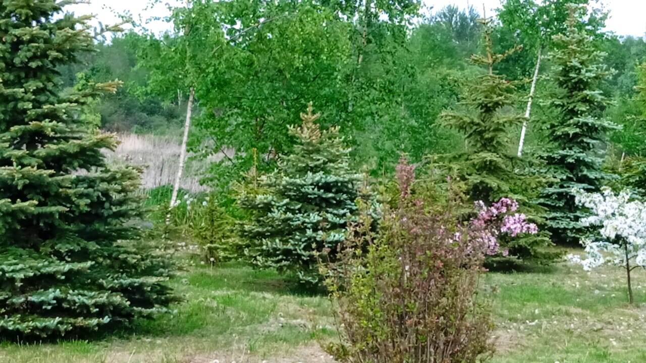 Агроусадьба в Беларуссии в Москве фото 4 Недвижимость Москва