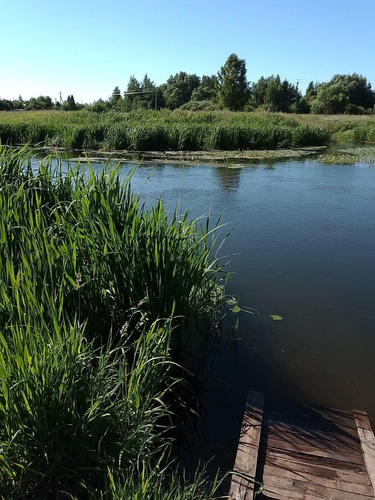 Сдам 2 участка по 3 сотки с электричеством в городе Щёлково в Щелково фото 3 Недвижимость Щелково