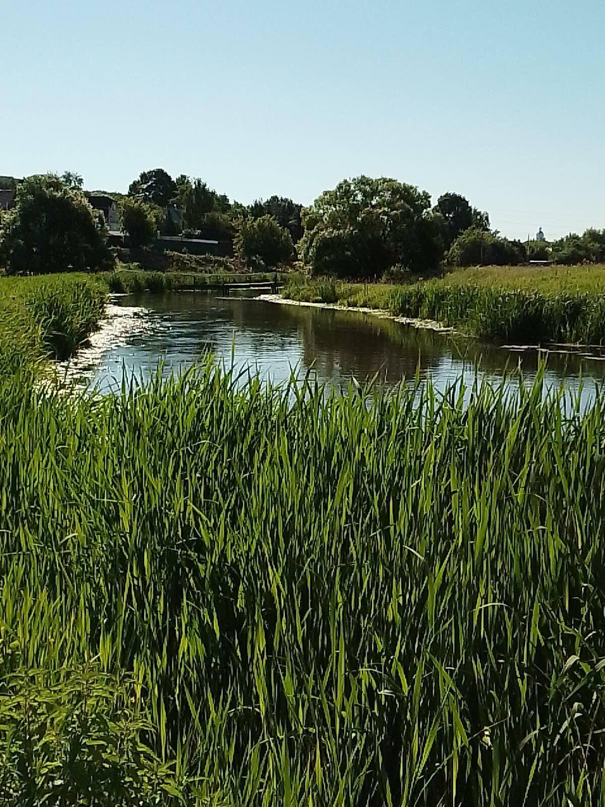 Сдам 2 участка по 3 сотки с электричеством в городе Щёлково в Щелково фото 5 Недвижимость Щелково