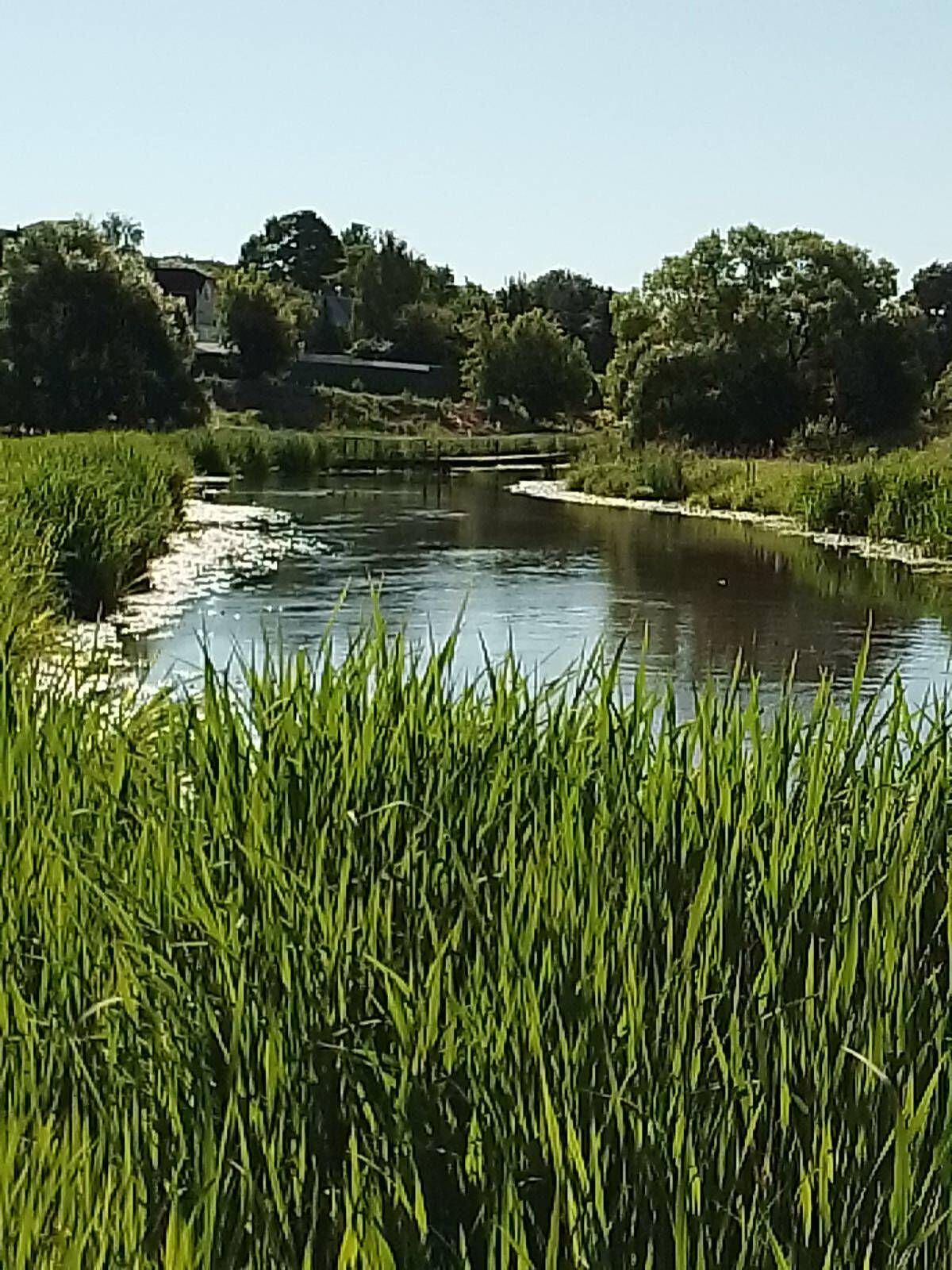 Сдам 2 участка по 3 сотки с электричеством в городе Щёлково в Щелково фото 6 Недвижимость Щелково