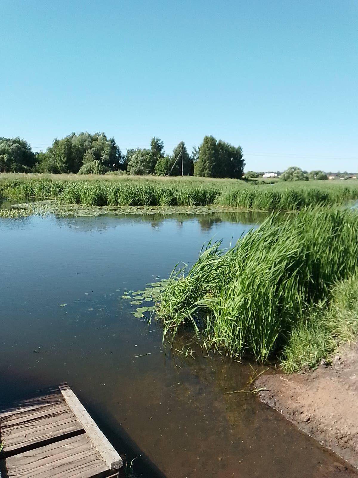 Сдам 2 участка по 3 сотки с электричеством в городе Щёлково в Щелково фото 7 Недвижимость Щелково