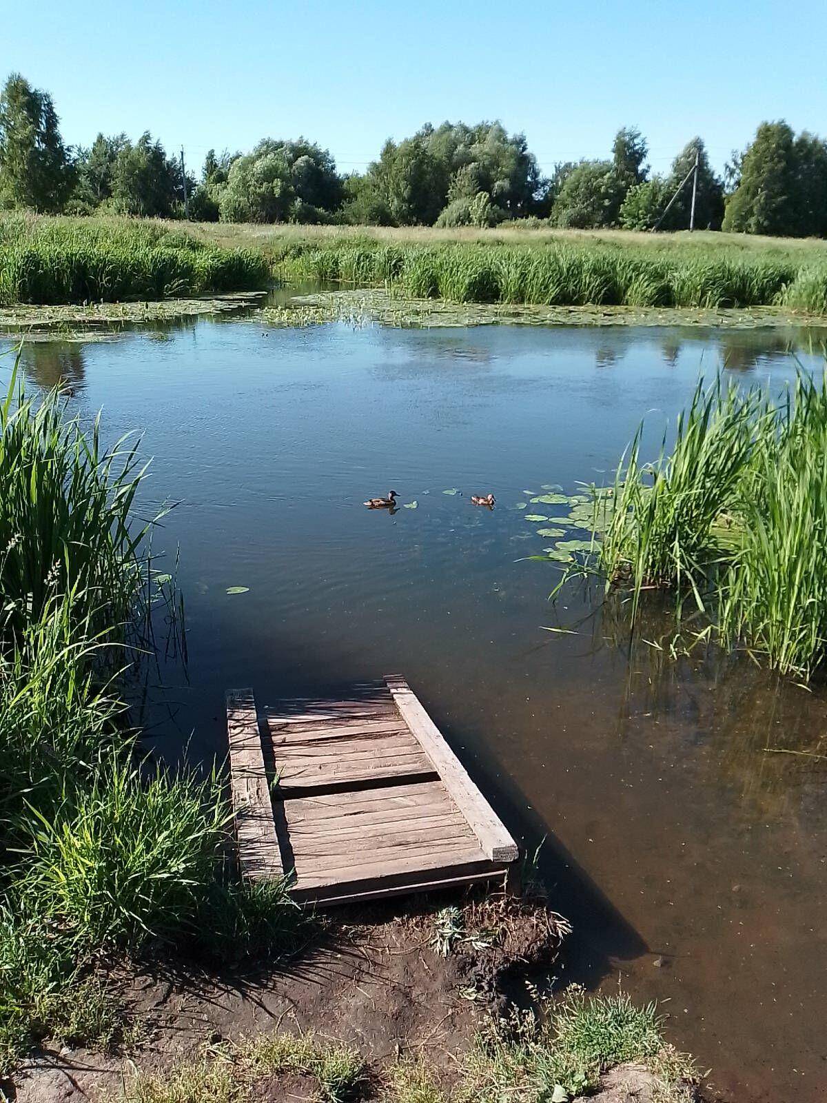 Сдам 2 участка по 3 сотки с электричеством в городе Щёлково в Щелково фото 4 Недвижимость Щелково