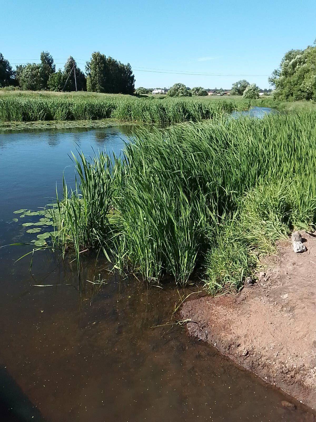 Сдам 2 участка по 3 сотки с электричеством в городе Щёлково