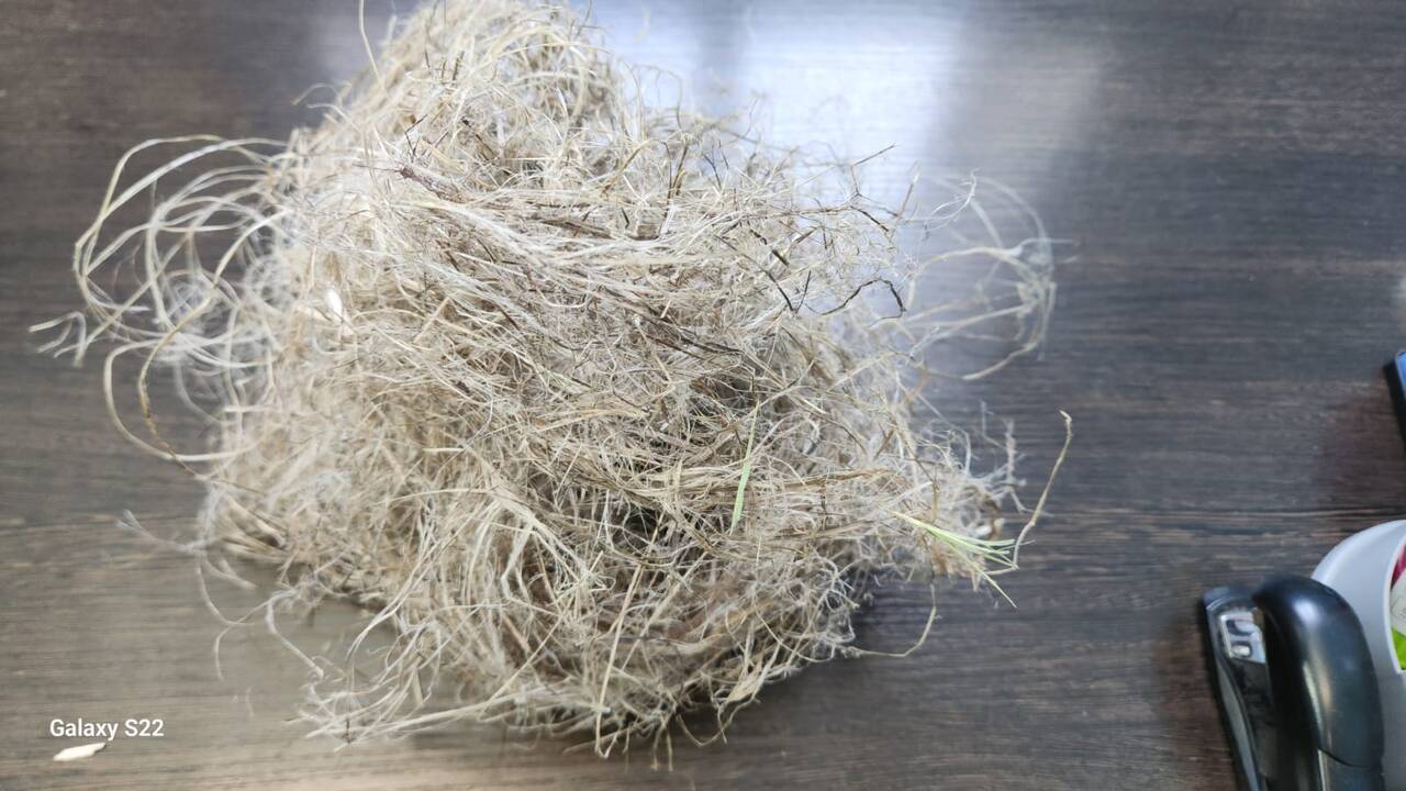 ПРОДАЕМ конопляное волокно 