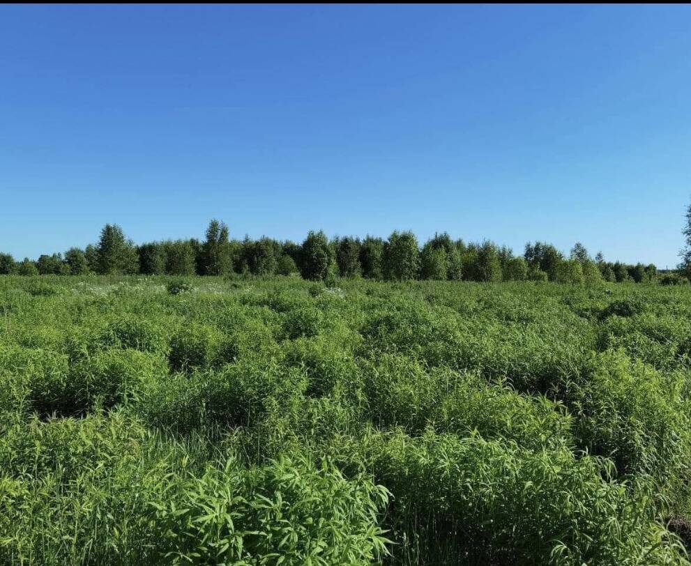 Продам участок 115 соток 