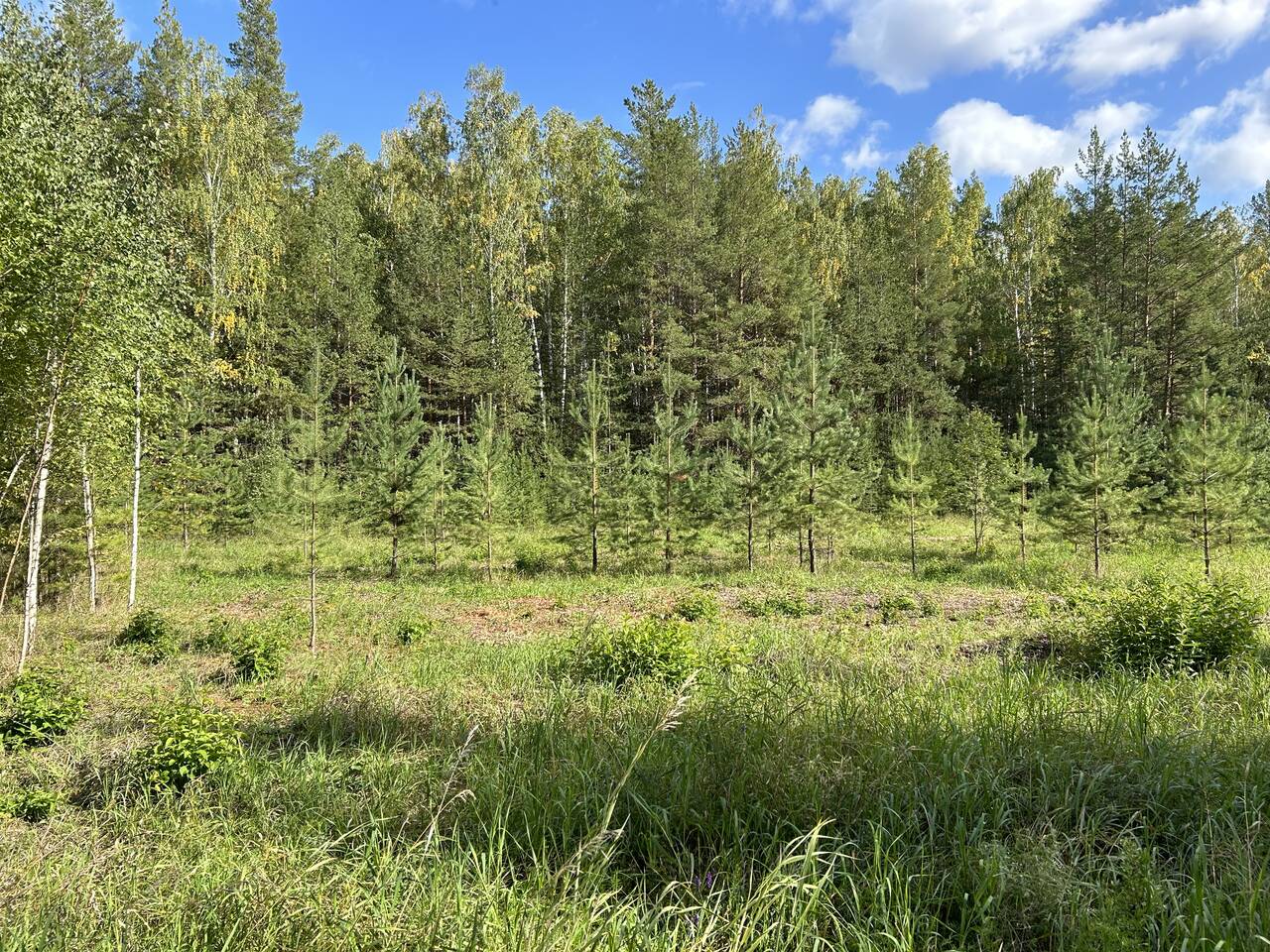 Продается земельный участок в КП Брусника в Екатеринбурге фото 3 Недвижимость Екатеринбург