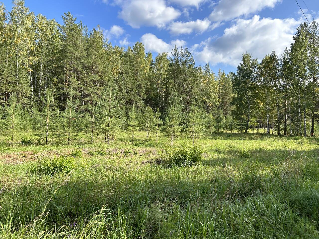 Продается земельный участок в КП Брусника в Екатеринбурге фото 2 Недвижимость Екатеринбург