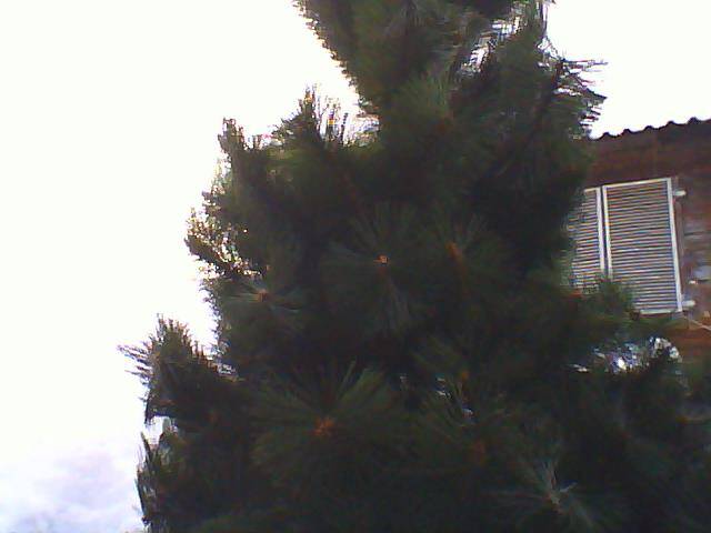 Ёль искусственная в комплекте с украшениями в Екатеринбурге фото 5 Личные вещи Екатеринбург