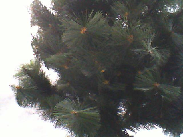 Ёль искусственная в комплекте с украшениями в Екатеринбурге фото 4 Личные вещи Екатеринбург