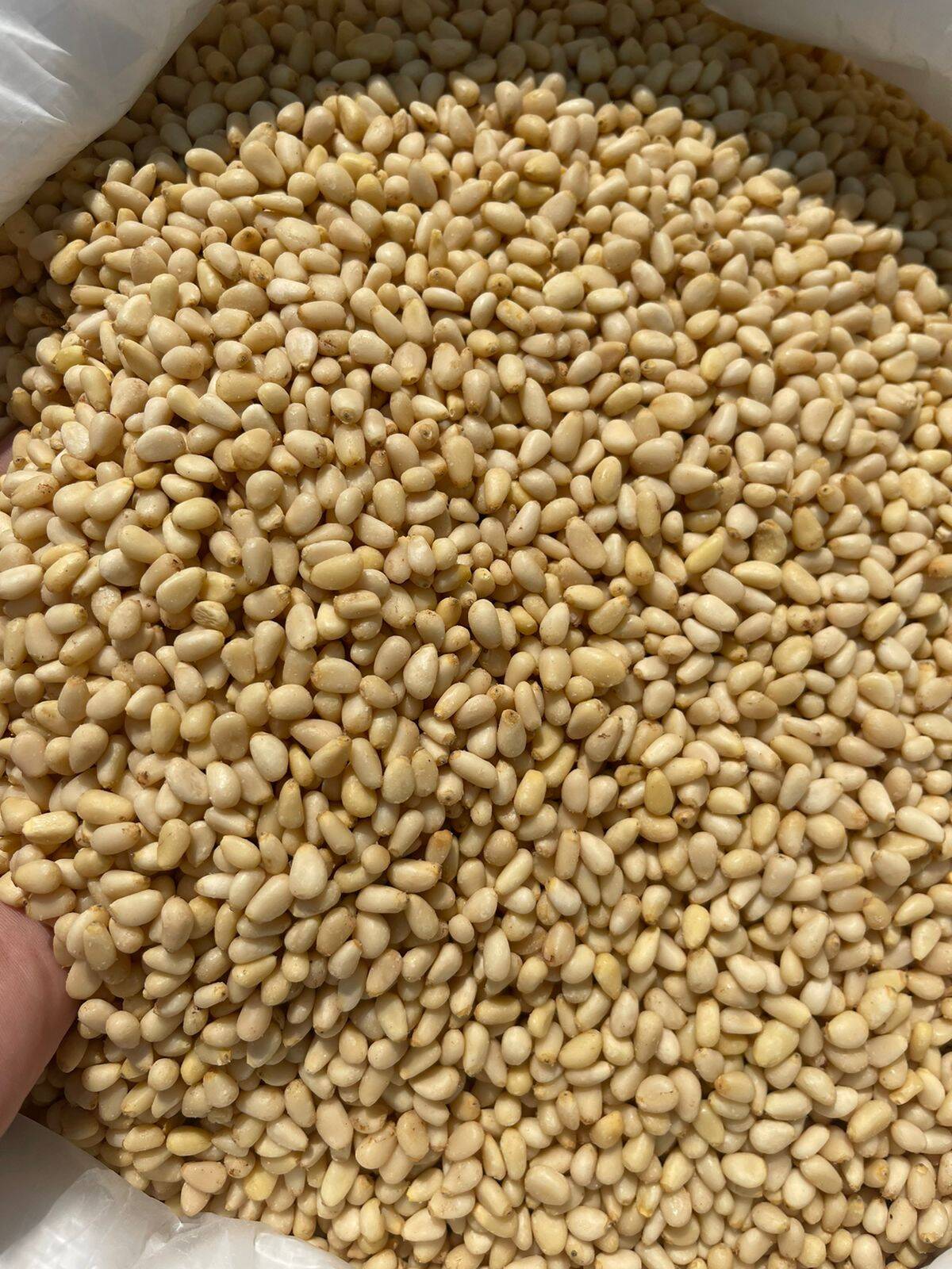 Ядро Кедрового ореха оптом. 