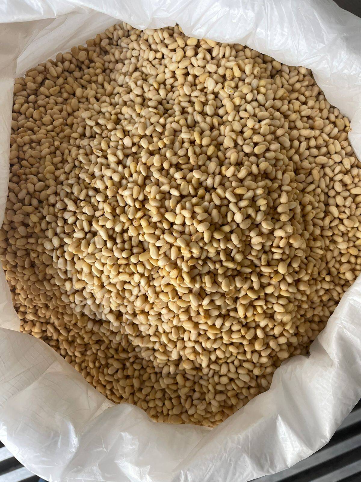 Ядро Кедрового ореха оптом. в Санкт-Петербурге фото 4 Услуги Санкт-Петербург Ядро Кедрового ореха оптом. в Санкт-Петербурге фото 4 Услуги Санкт-Петербург