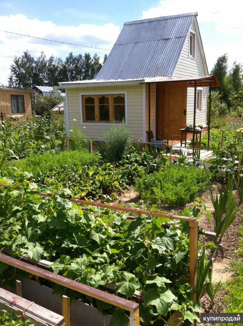 Приму в дар дачу