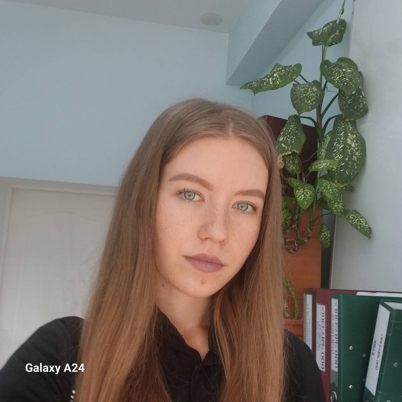 Бухгалтерские услуги 