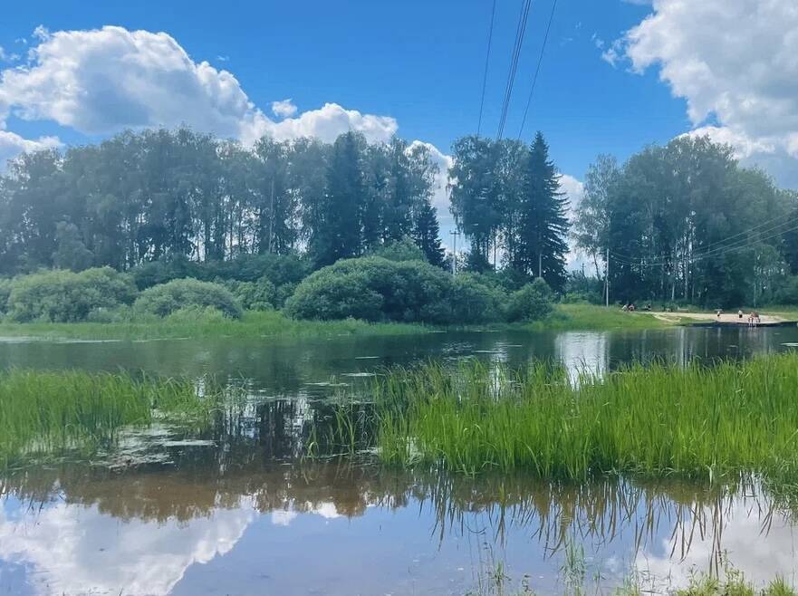 Участок 6 соток
