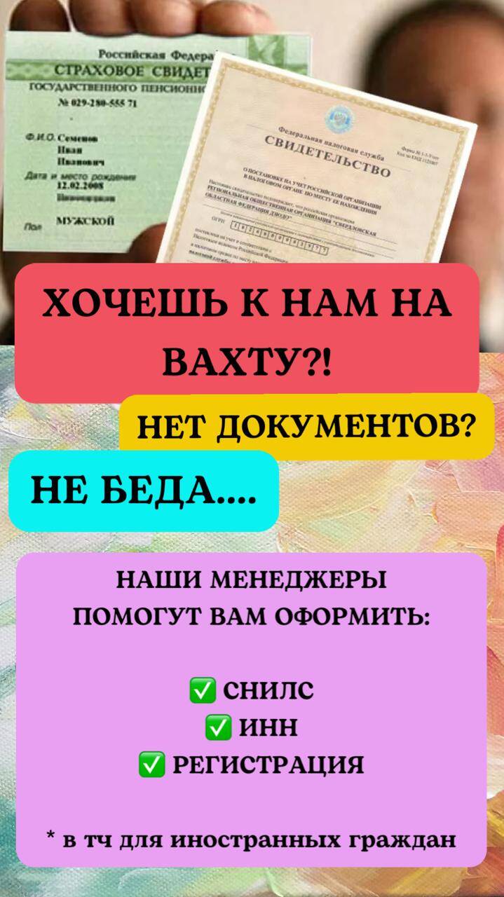 Отлов птиц вахта в Москве фото 3 Работа Москва Отлов птиц вахта в Москве фото 3 Работа Москва