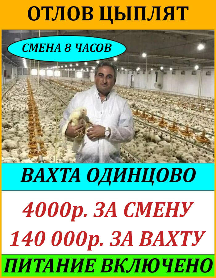 Отлов птиц вахта в Москве фото 1 Работа Москва Отлов птиц вахта в Москве фото 1 Работа Москва
