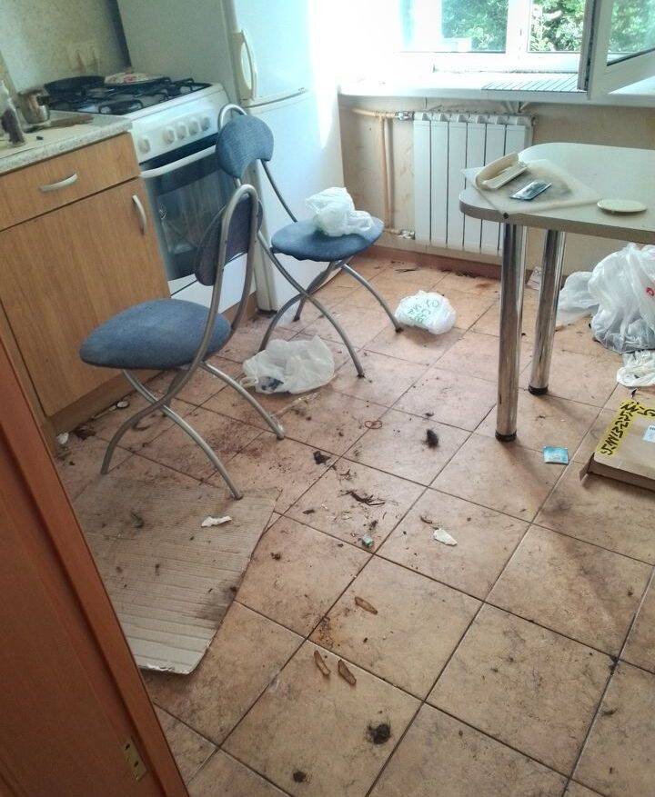 Профессиональный клининг у вас дома! Пустите чистоту в ваш дом! в Санкт-Петербурге фото 3 Услуги Санкт-Петербург