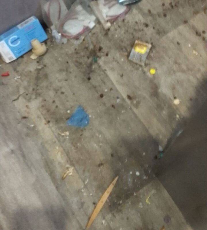 Профессиональный клининг у вас дома! Пустите чистоту в ваш дом!