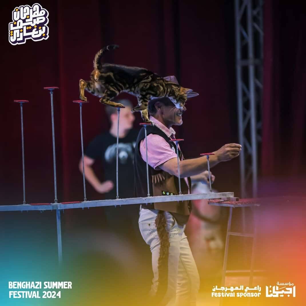 Шоу Дрессированных кошек в Москве фото 3 Услуги Москва