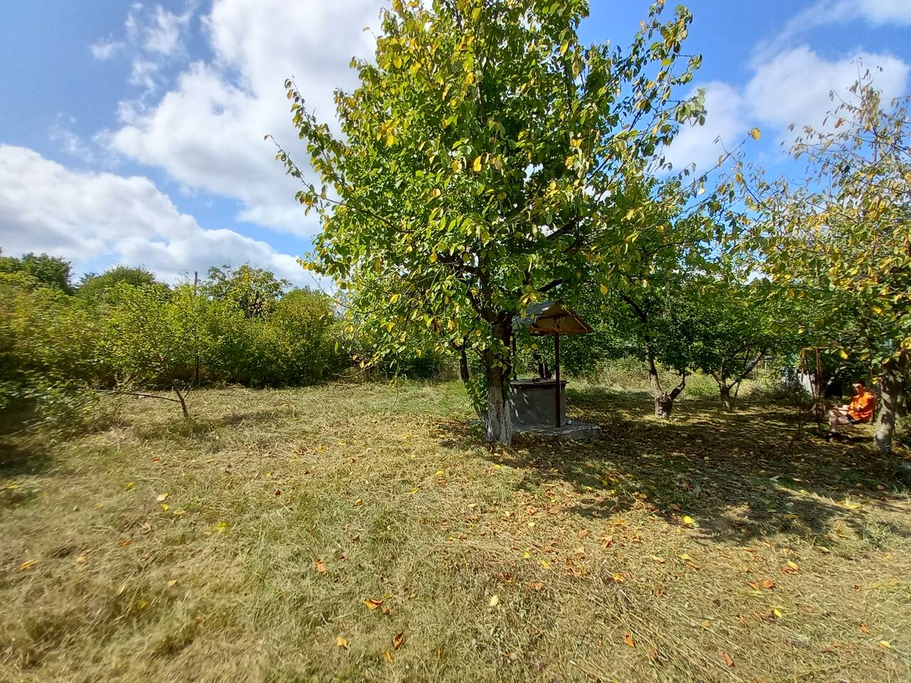 Продается загородный дом в живописном лесу рядом со Старым Крымом в Старом Крыме фото 5 Недвижимость Старый Крым Продается загородный дом в живописном лесу рядом со Старым Крымом в Старом Крыме фото 5 Недвижимость Старый Крым