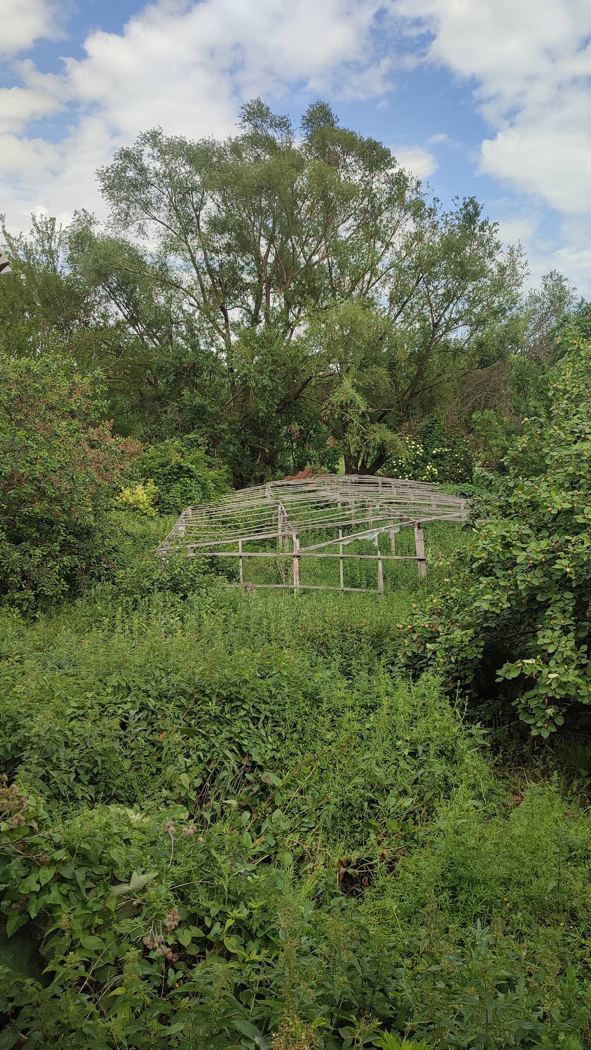 Продается доля дома в г Старый Крым в Старом Крыме фото 4 Недвижимость Старый Крым Продается доля дома в г Старый Крым в Старом Крыме фото 4 Недвижимость Старый Крым