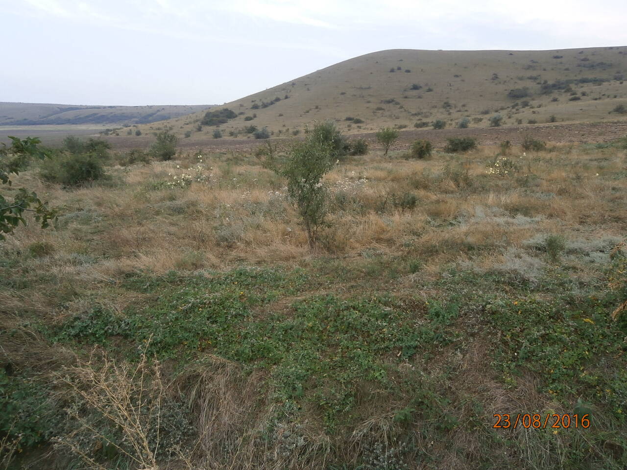 Продается земельный участок рядом с море,Крым в Феодосии фото 5 Недвижимость Феодосия