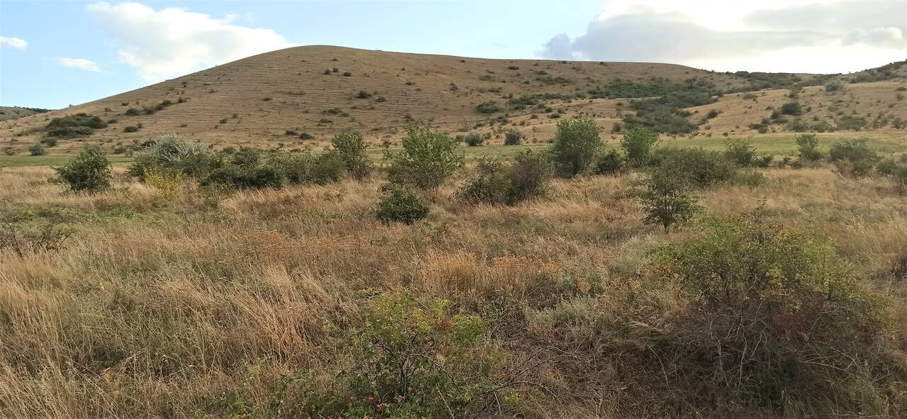 Продается земельный участок рядом с море,Крым в Феодосии фото 3 Недвижимость Феодосия