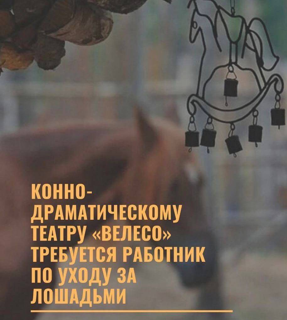 Требуется работник/конюх