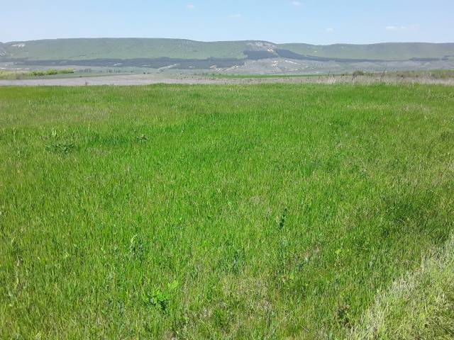 Продается земельный участок 16 ГА сельхозназначения  в Белогорске (Республика Крым) фото 6 Недвижимость Белогорск (Республика Крым)