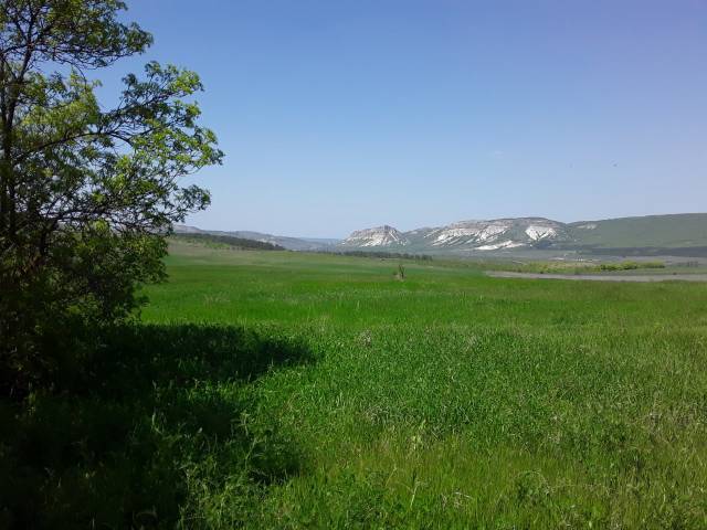 Продается земельный участок 16 ГА сельхозназначения  в Белогорске (Республика Крым) фото 5 Недвижимость Белогорск (Республика Крым)