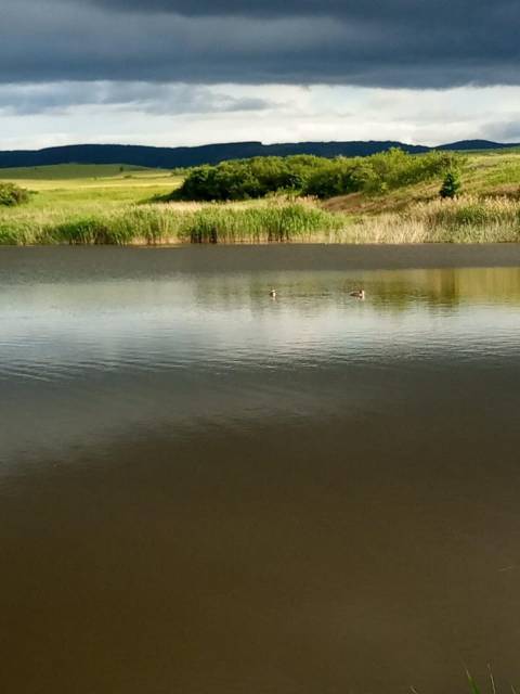 Продается земельный участок 16 ГА сельхозназначения  в Белогорске (Республика Крым) фото 2 Недвижимость Белогорск (Республика Крым)