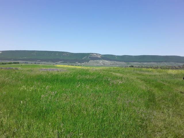 Продается земельный участок 16 ГА сельхозназначения  в Белогорске (Республика Крым) фото 4 Недвижимость Белогорск (Республика Крым)