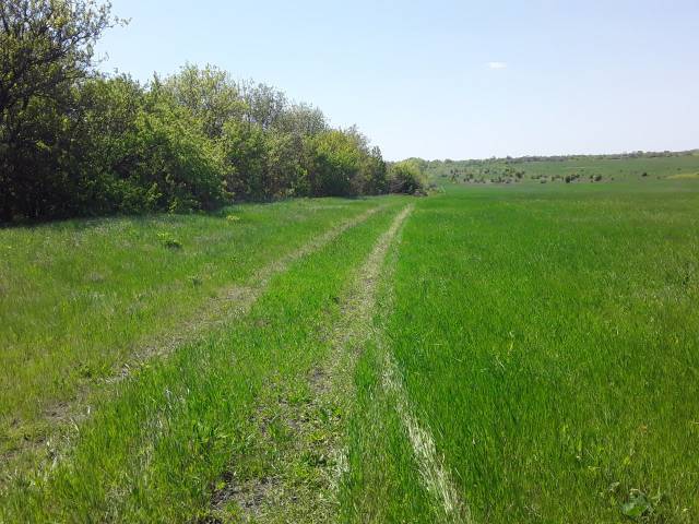 Продается земельный участок 16 ГА сельхозназначения 