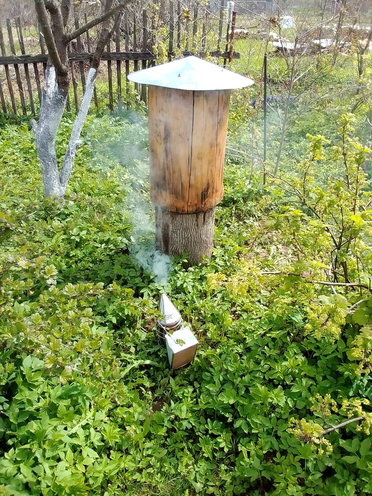 Колода для пчел в Луге фото 1 Работа Луга